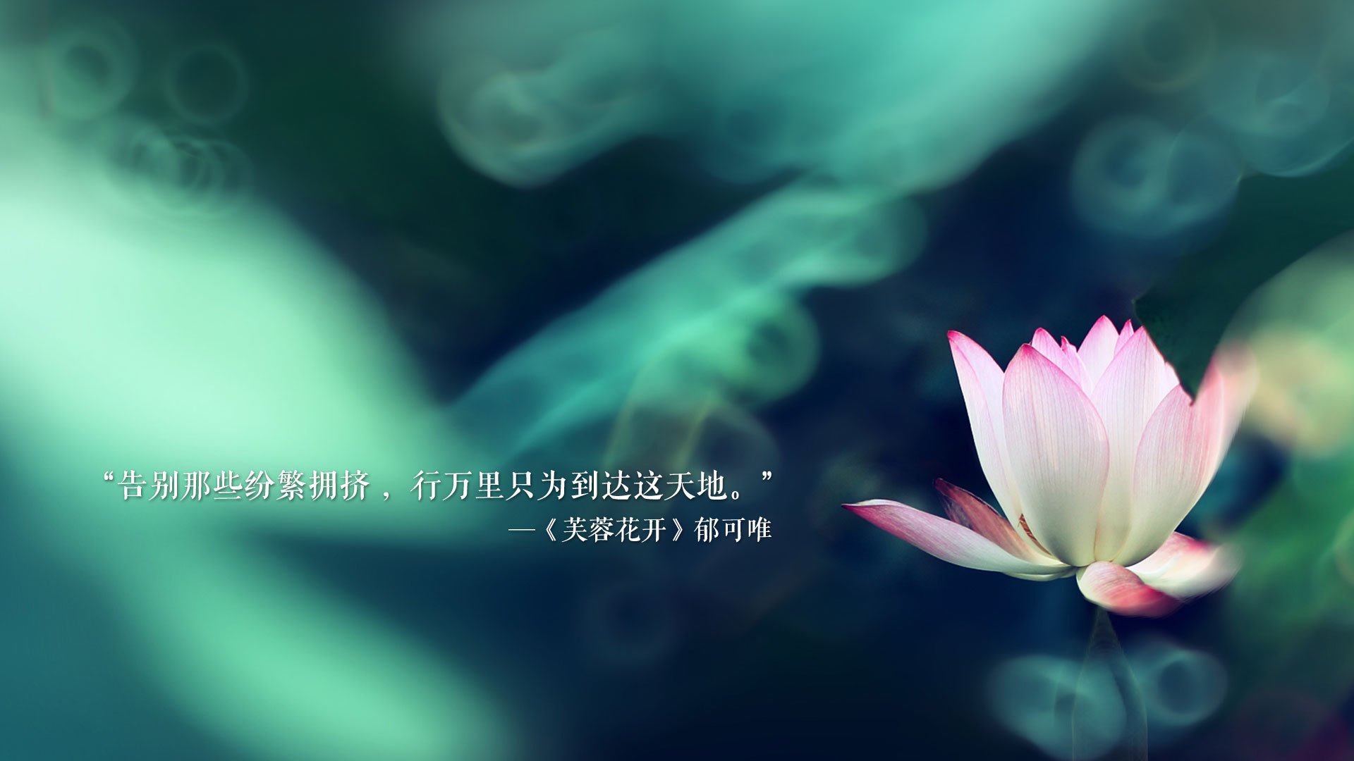 “德甲豪门纷纷发力，追逐联赛冠军”，德甲曾经的豪门