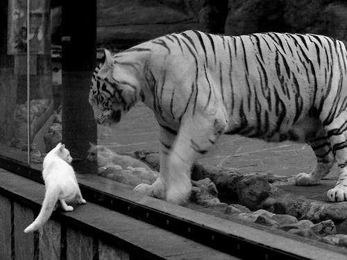 区块链游戏探索:数字资产与全新模式,区块链通往数字资产化之路